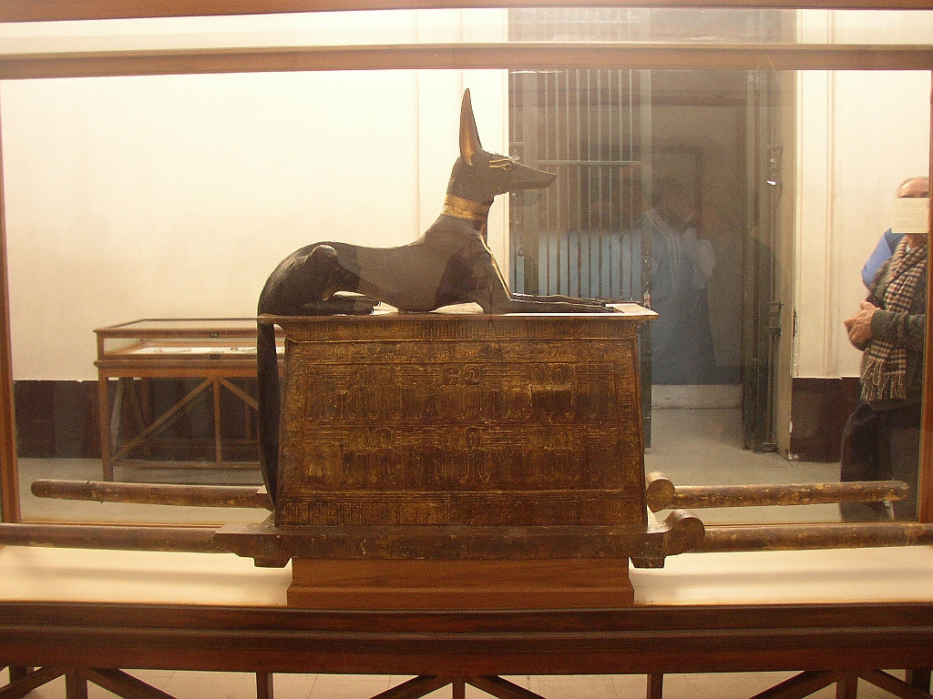 Lupo Egitto 157